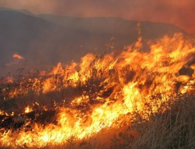 Πυρκαγιά έχει ξεσπάσει κοντά στο Καλέντζι Αχαΐας